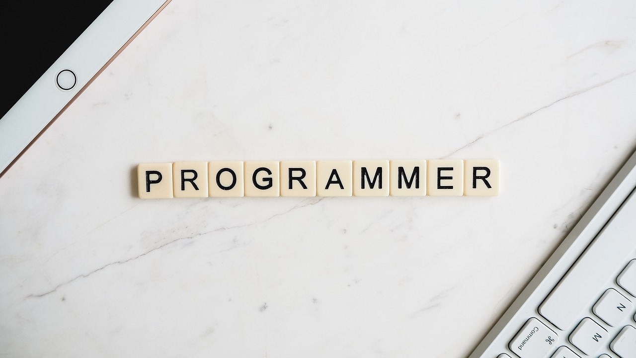 Programmierer(in) Programmierer(in)